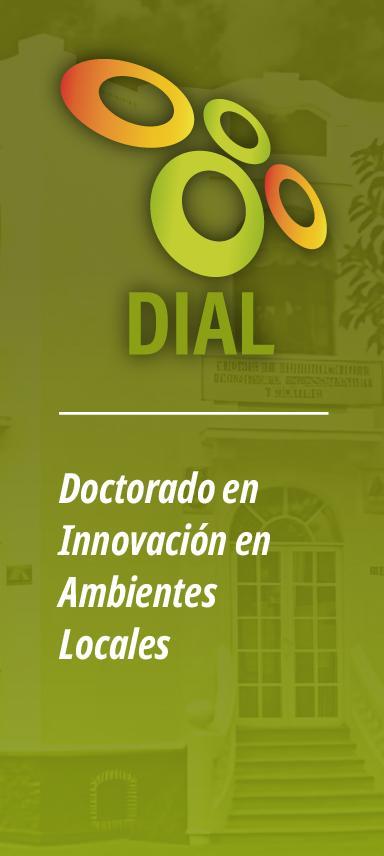 Icono deL Doctorado en Innocación en Ambientes Locales