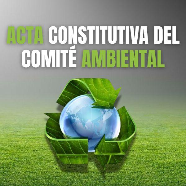 acta constitutiva