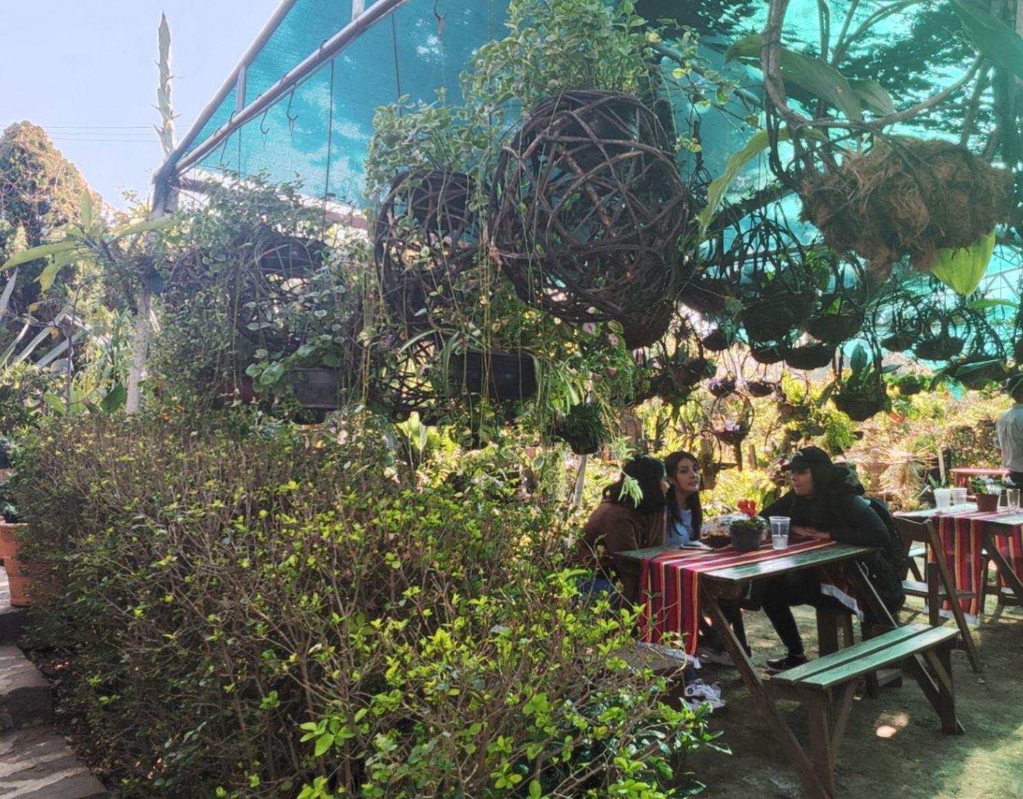 imagen que representa la visión del DIAL