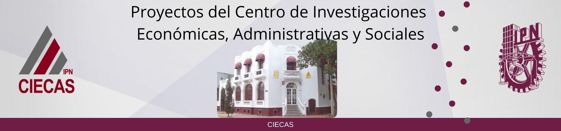 imagen de proyectos 2024